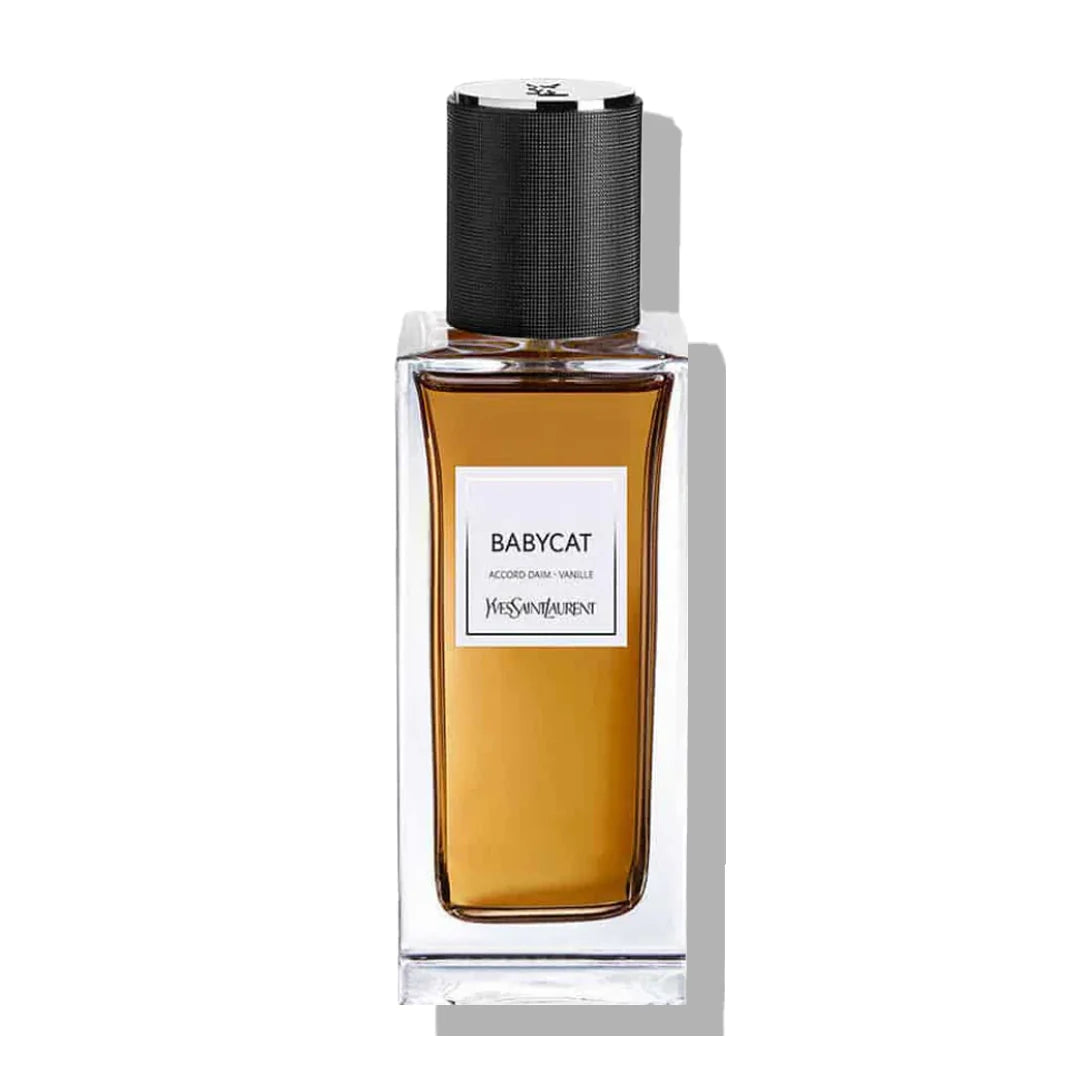YSL Privé Babycat